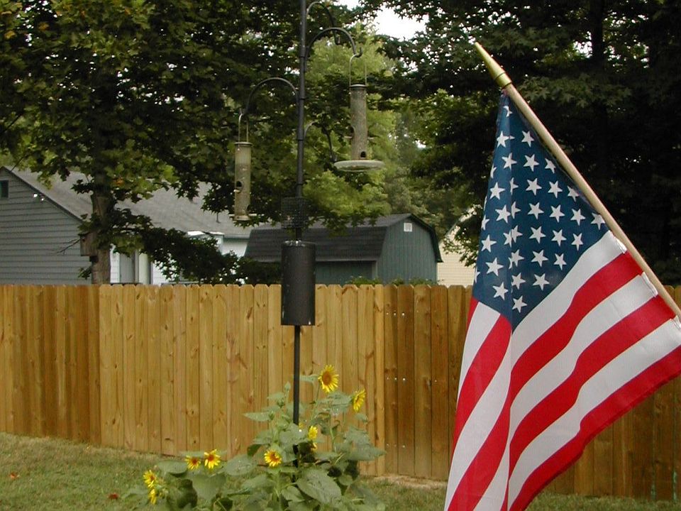 Backyard birdfeeders