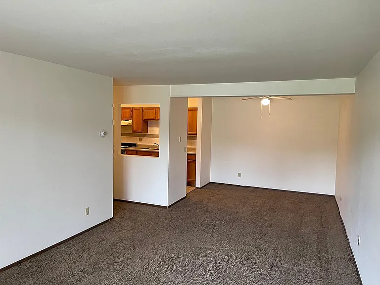 Paradise Apartments — Photo 5