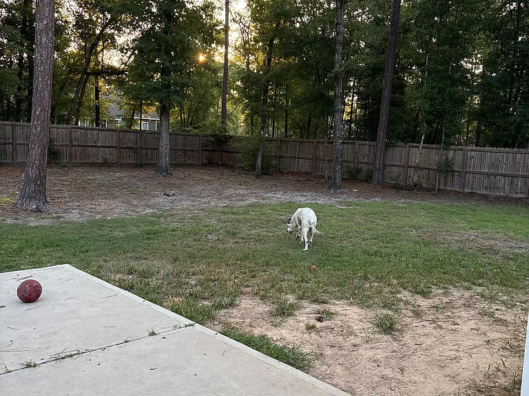 108 Little Jack Way — Photo 3