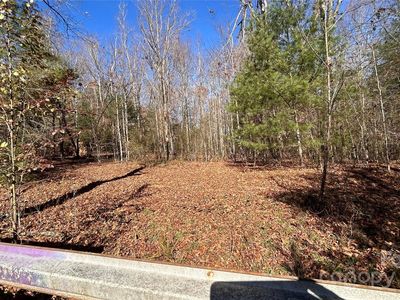 0 Ray Hill Rd, Horse Shoe, NC, 28742