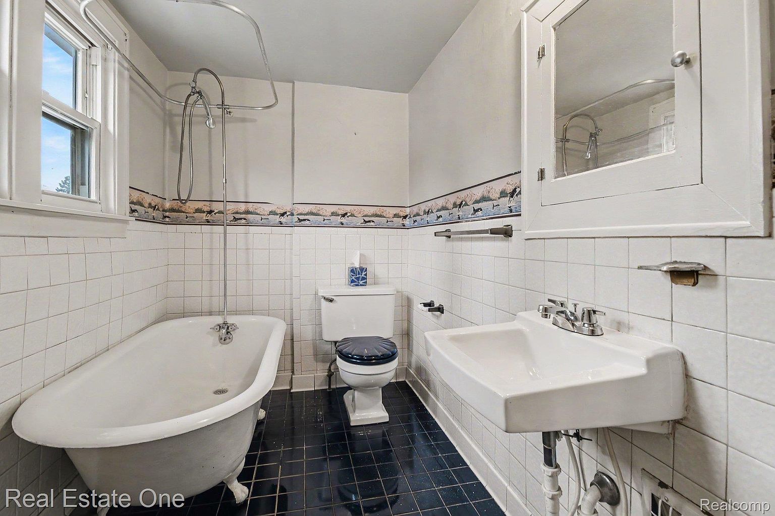 575 Albany St, photo 18