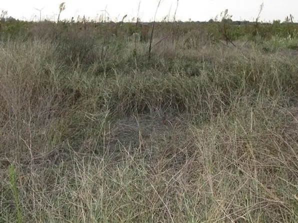 14838 Fm 796, Mathis, TX 78368