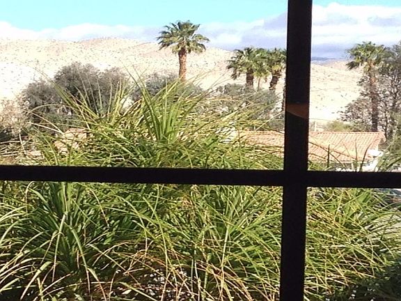 View from Living Room Window