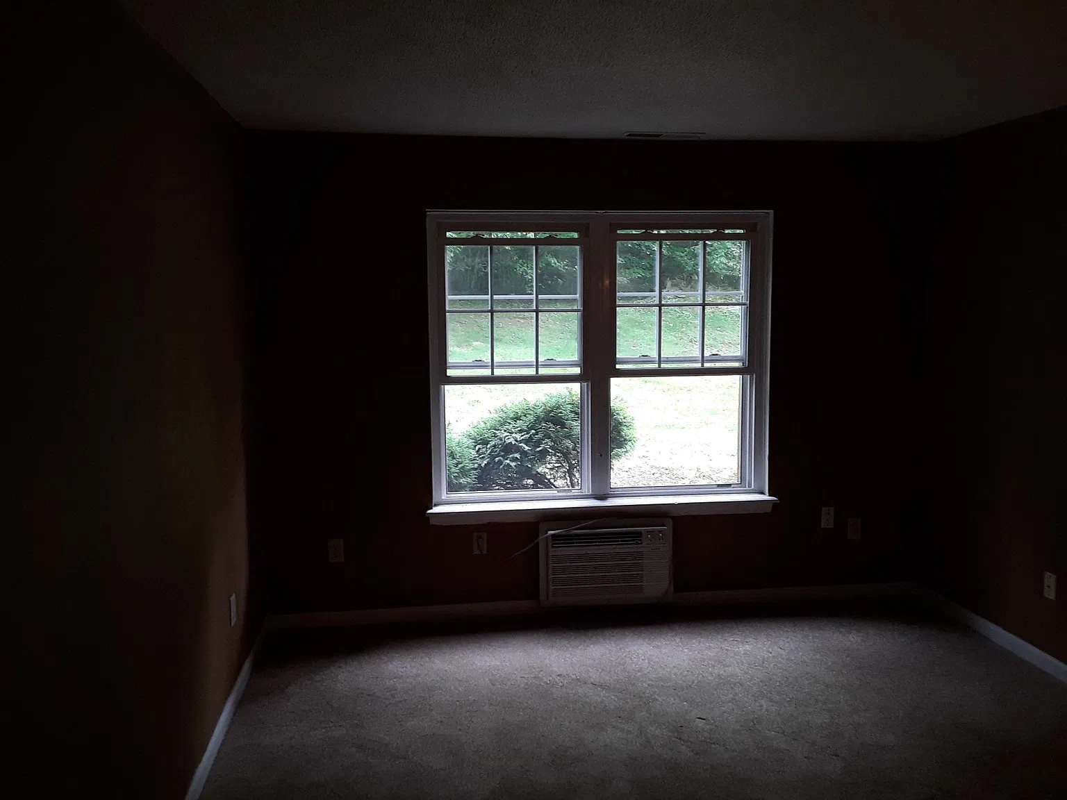 1 bed, 790 sqft, $1,500 — Photo 2