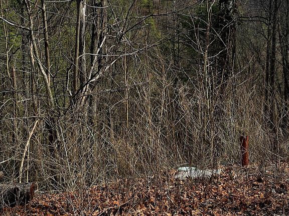 4th image of 3278 Emerald Springs Loop