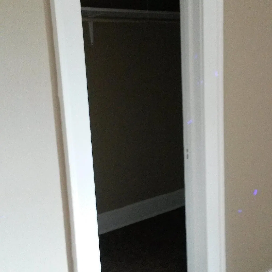 2 bed, 900 sqft, $900 — Photo 3