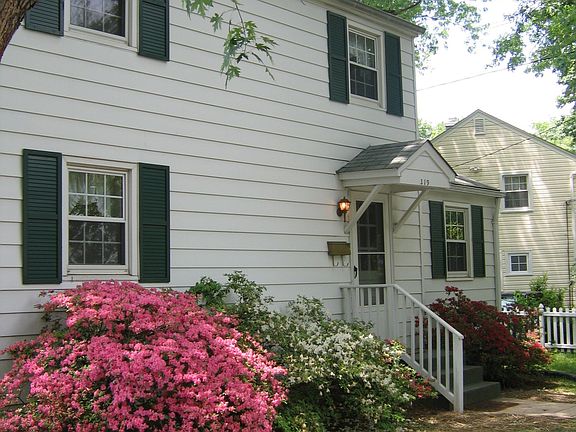 Bushes bloom every spring and stay into the early fall