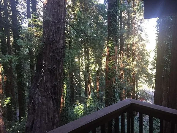 100 Wildomar St, Mill Valley, CA 94941