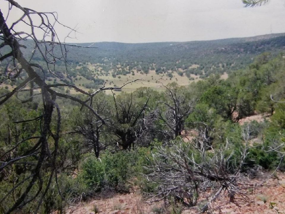 1st image of 155 Acres Peach Springs -- #-