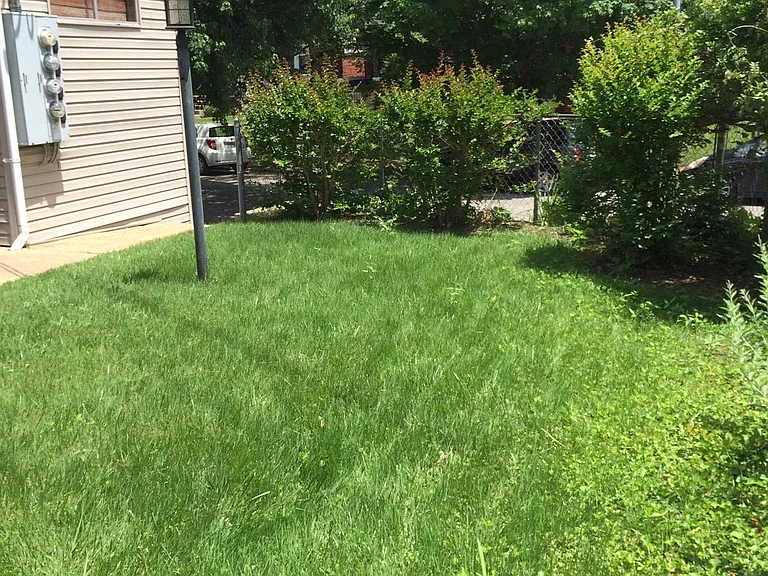 Shared Garden