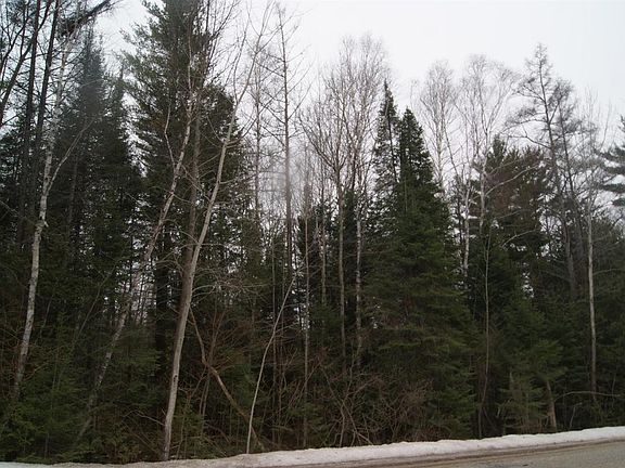 5th image of Black River Road 130 Acres