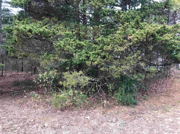 L5 Heritage Hl, Higden, AR 72067