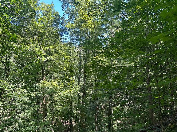 47th image of this home