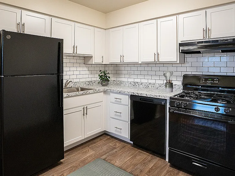 Renovated Kitchen