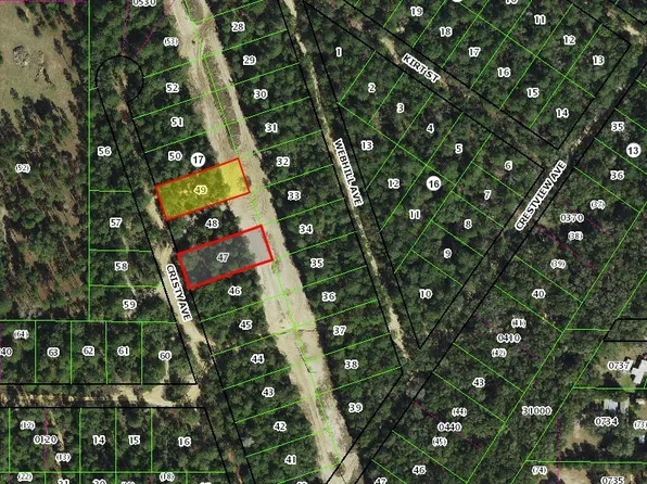 106 N Cristy Ave, Inverness, FL 34452