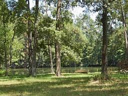 5th image of 14112 Nightingale Dr