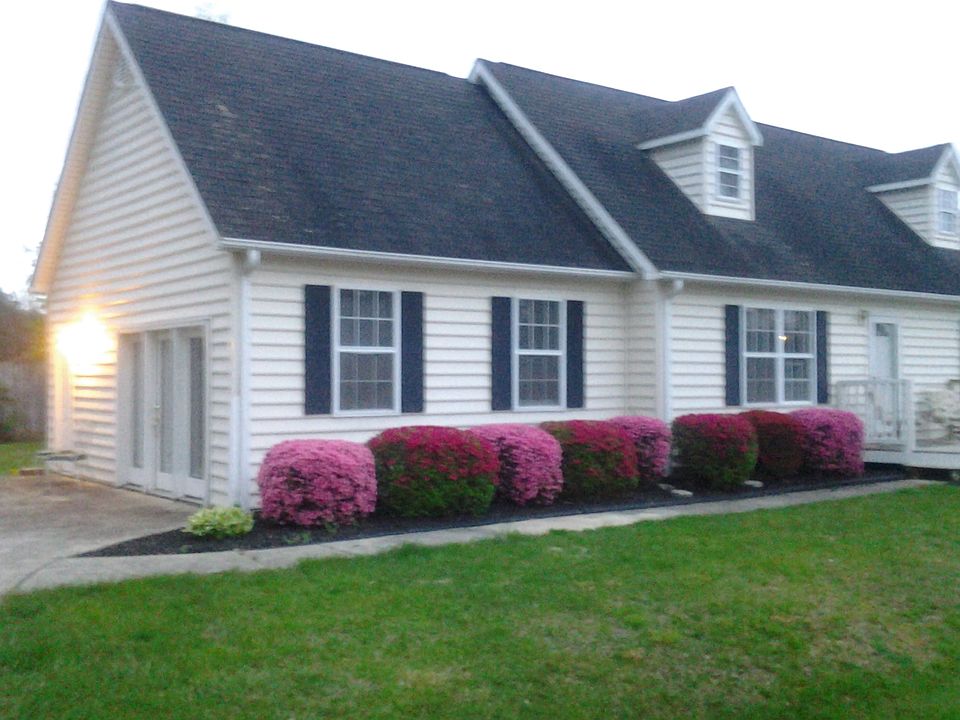 Beautiful Azaleas 2015