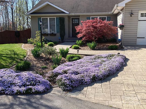 2nd image of 125 Red Cedar Dr