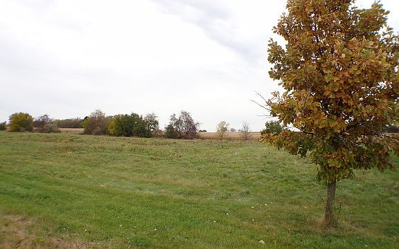 3rd image of 10806 Williams Ct