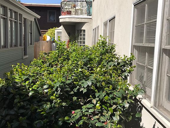 3rd image of 1213 E Ocean Blvd #9