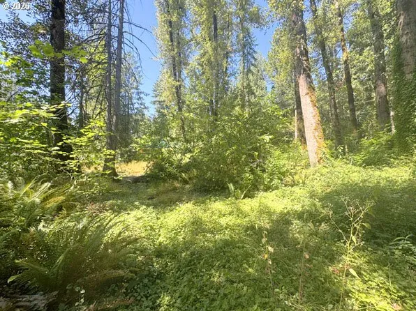 65425 E Timberline Dr E, Rhododendron, OR 97049