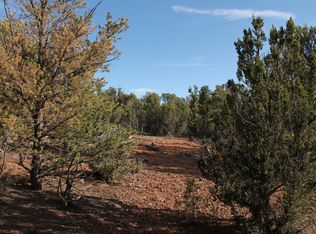 5081 Alyssa Rd, Show Low, AZ 85901