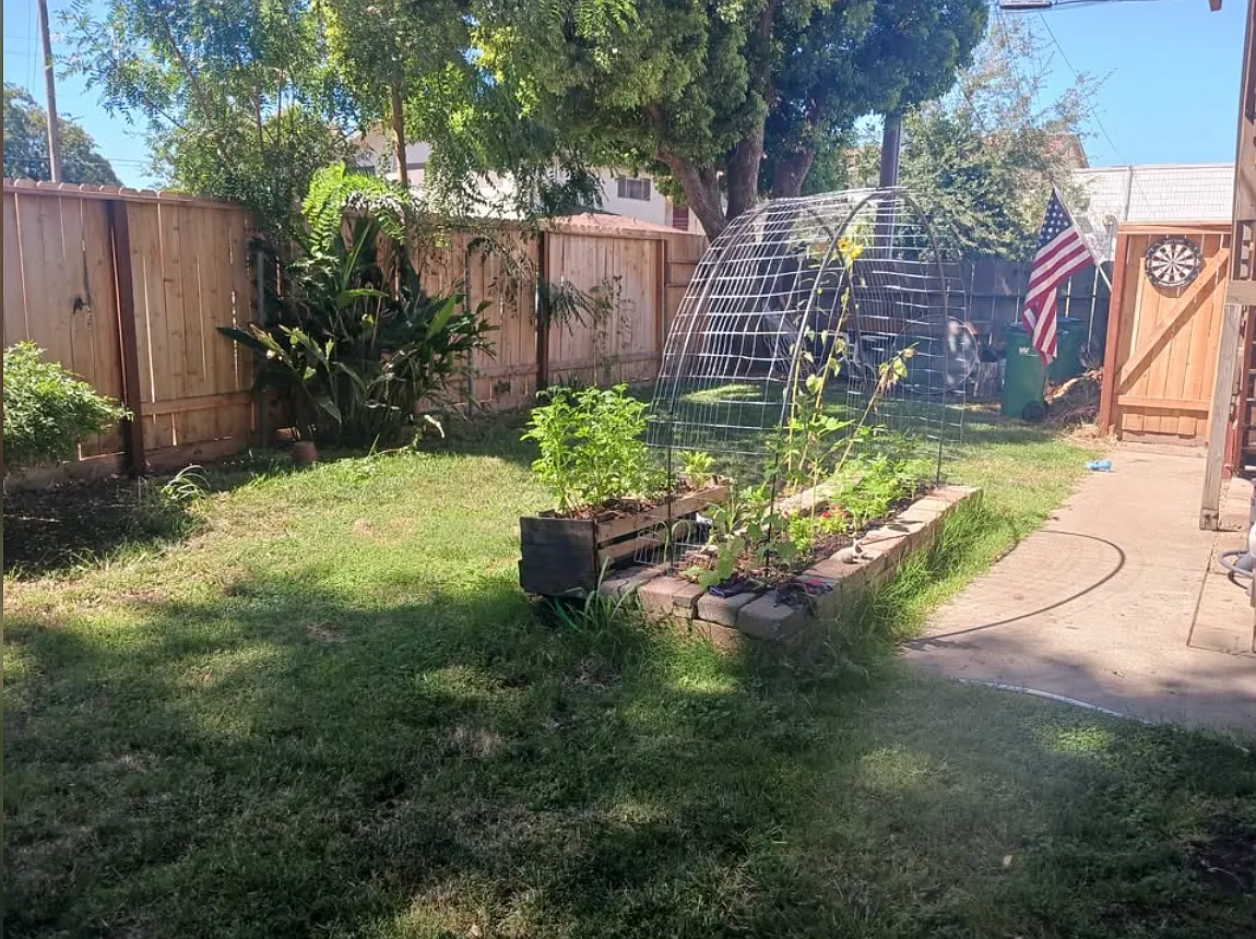 1 bed, $1,000 — Photo 2
