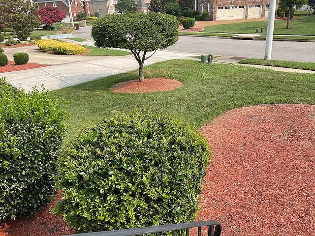 Landscaped front-yard