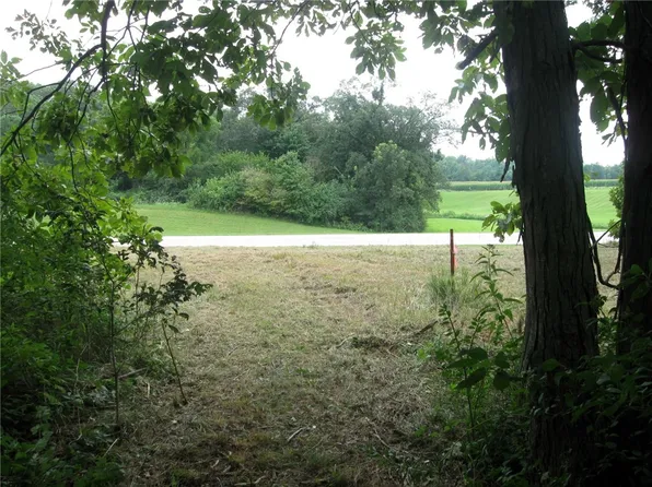 Peaceful Ct, Potomac, IL 61865