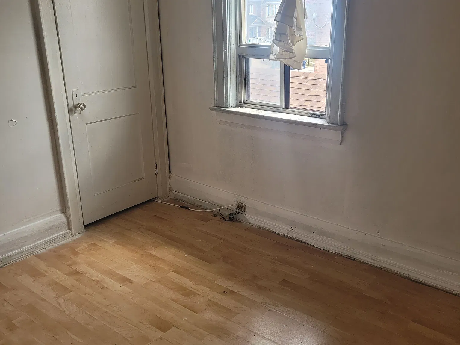 1 bed, $700 — Photo 4