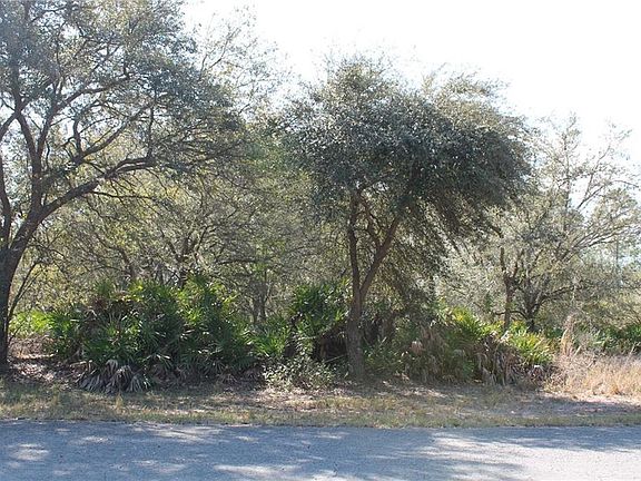 5th image of 1003 Orchid Dr
