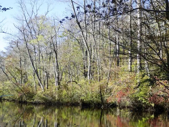 0 Meadow Bridge Rd, Snow Hill, MD 21863