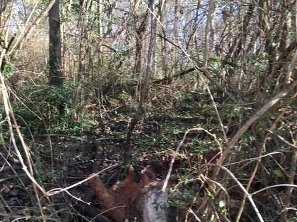 520 N Peter St, Athens, GA 30601