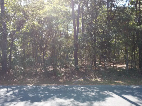 LOT 47 Ward Dr, Dudley, NC 28333