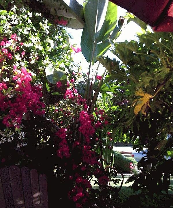Front Patio