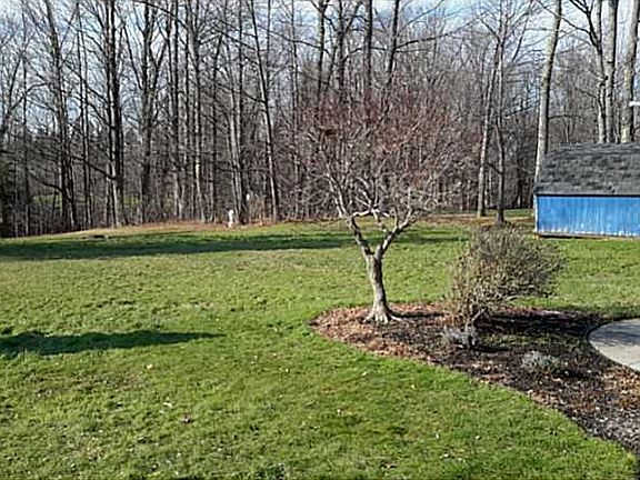 3rd image of 8846 Horseshoe Dr