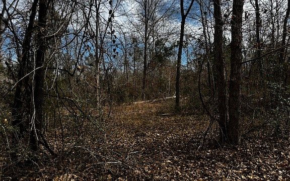 4th image of 0 An County Rd #1233