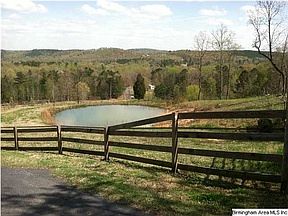 2nd image of 9858 County Road 31