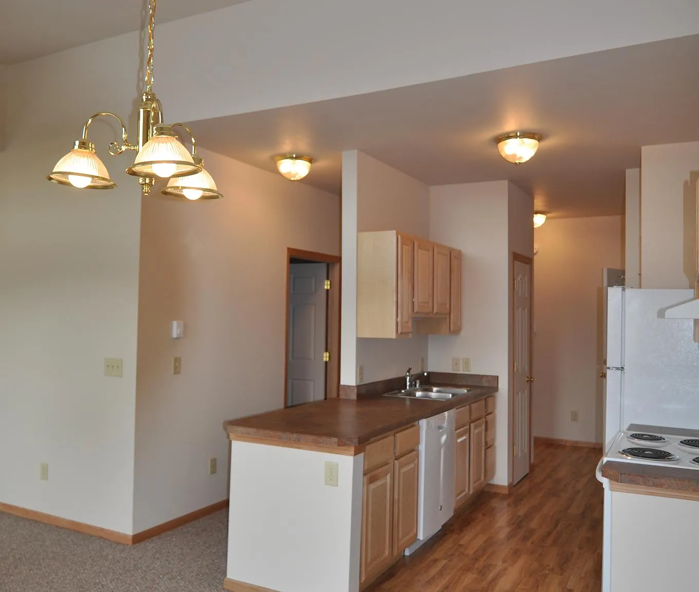 325 Lincoln Ln — Photo 4