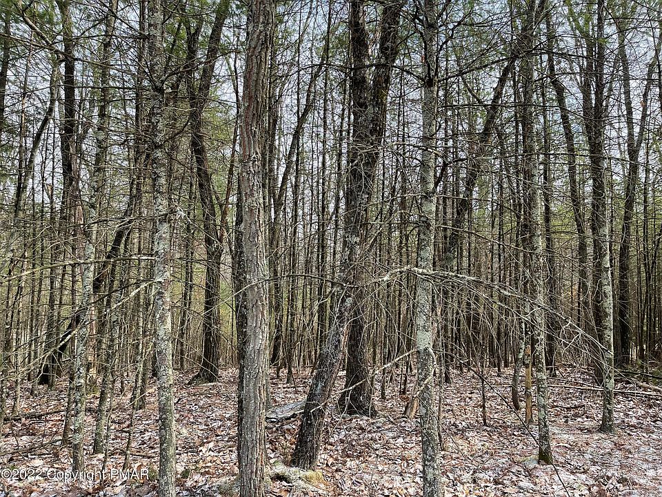 2nd image of Winter Green Ct