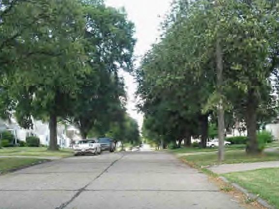 3rd image of 4491 W 56th St