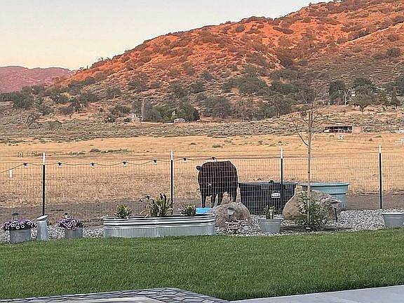 5th image of 18702 Pellisier Rd