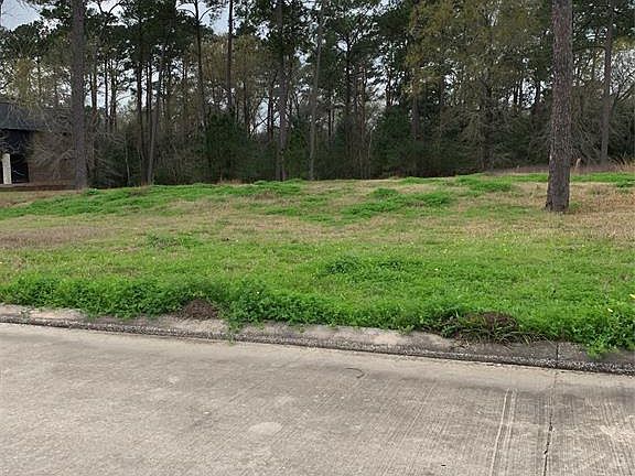 5th image of 5508 Forest Cove Dr