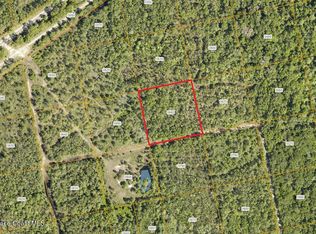 0 Unknown Rd, Oak Hill, FL 32759