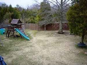 Backyard View from Deck