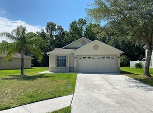 4607 McBrine Ct, Land O Lakes, FL 34639