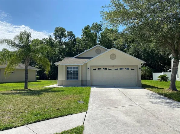 4607 McBrine Ct, Land O Lakes, FL 34639