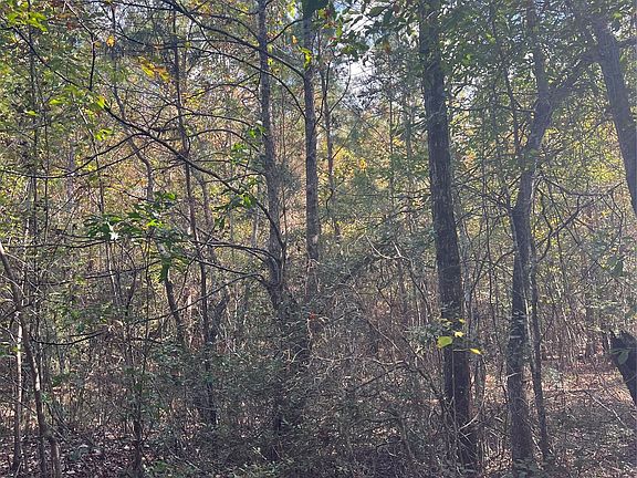 2nd image of 0 Gore Store Rd