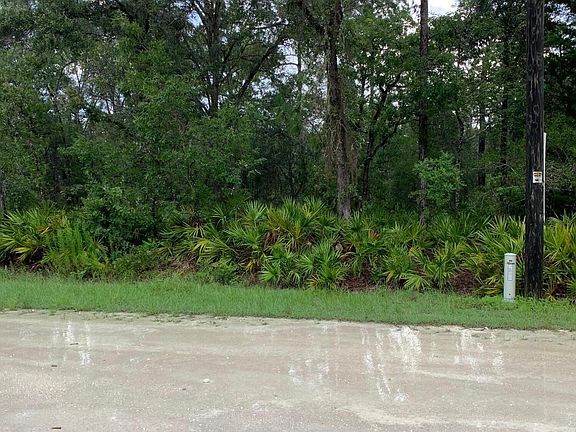 5th image of 10489 Florida Wren Ave