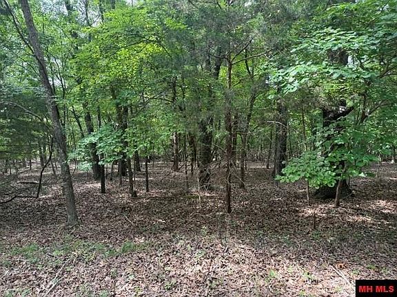 2nd image of 218 County Road 472